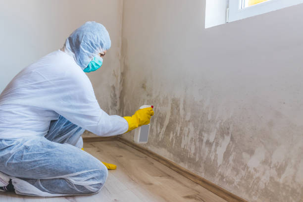 Licensed Bathroom Mold Removal service in Hopewell, VA - Car Mold Remediation