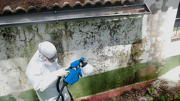 Top rated local Bathroom Mold Removal specialists in Hopewell, VA